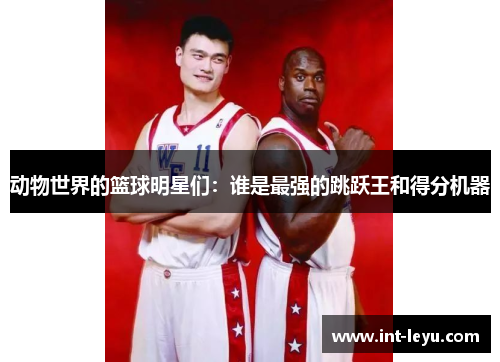动物世界的篮球明星们：谁是最强的跳跃王和得分机器