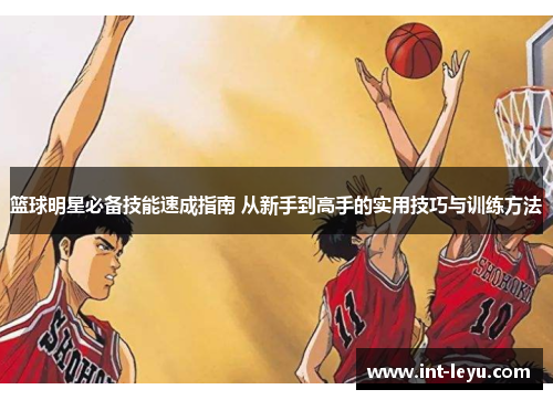 篮球明星必备技能速成指南 从新手到高手的实用技巧与训练方法