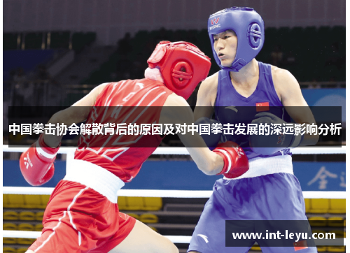 中国拳击协会解散背后的原因及对中国拳击发展的深远影响分析