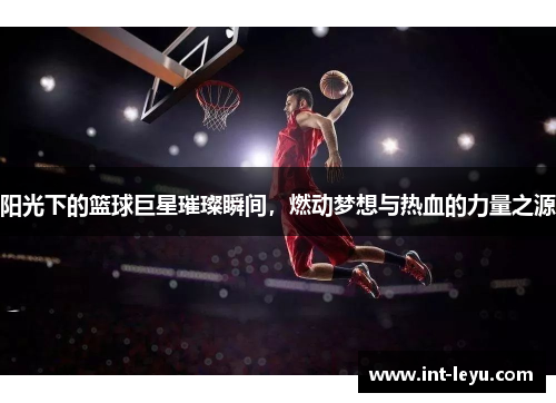 阳光下的篮球巨星璀璨瞬间，燃动梦想与热血的力量之源