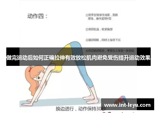 做完运动后如何正确拉伸有效放松肌肉避免受伤提升运动效果