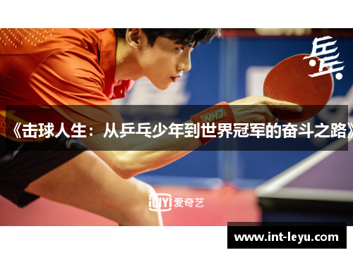 《击球人生：从乒乓少年到世界冠军的奋斗之路》